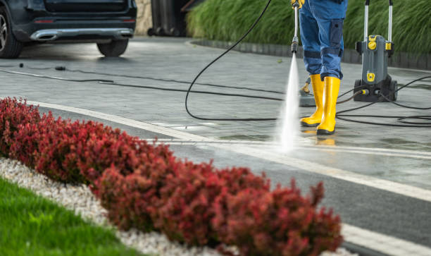 Best Sidewalk and Walkway Pressure Cleaning in Harlan, IA